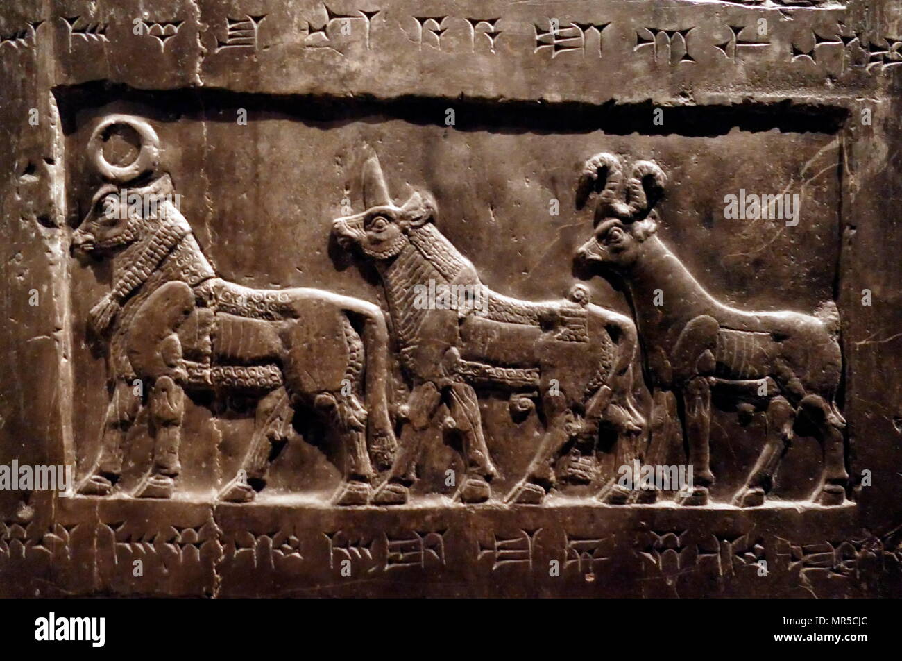 Dettaglio dall'Obelisco nero, di Shalmaneser III. Un calcare nero scultura assira con scene in bassorilievo e iscrizioni. Esso proviene da Nimrud (antica Kalhu), nel nord dell Iraq e ricorda le gesta del re Shalmaneser III (regnò 858-824 a.C.). Foto Stock