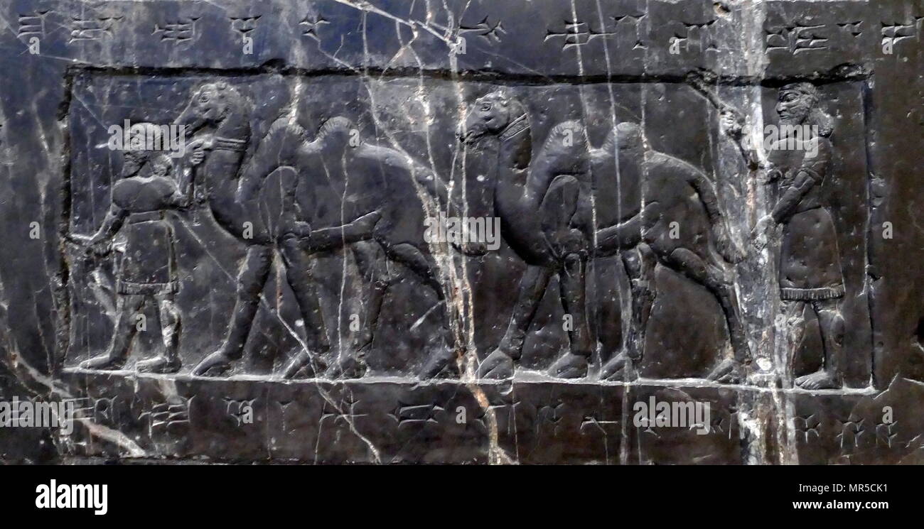 Dettaglio dall'Obelisco nero, di Shalmaneser III. Un calcare nero scultura assira con scene in bassorilievo e iscrizioni. Esso proviene da Nimrud (antica Kalhu), nel nord dell Iraq e ricorda le gesta del re Shalmaneser III (regnò 858-824 a.C.). Foto Stock