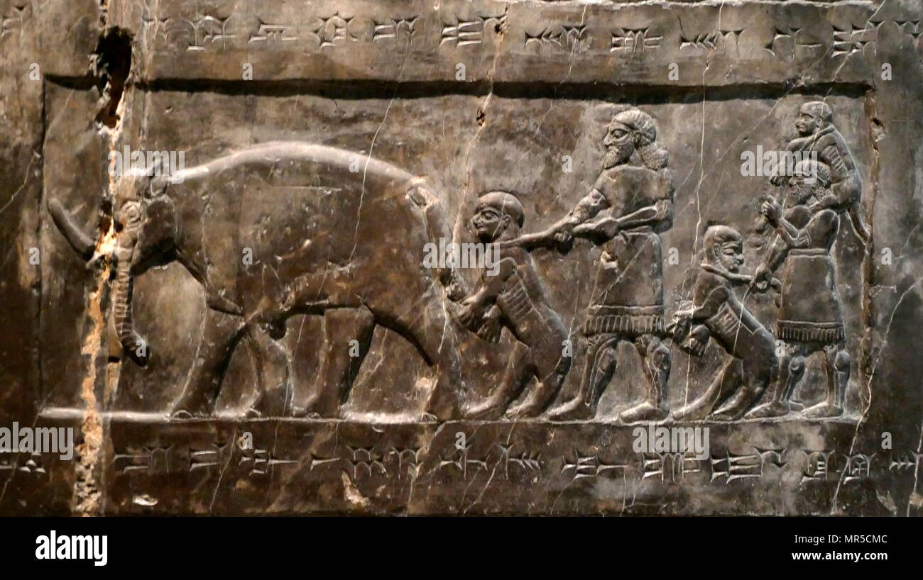 Dettaglio dall'Obelisco nero, di Shalmaneser III. Un calcare nero scultura assira con scene in bassorilievo e iscrizioni. Esso proviene da Nimrud (antica Kalhu), nel nord dell Iraq e ricorda le gesta del re Shalmaneser III (regnò 858-824 a.C.). Foto Stock