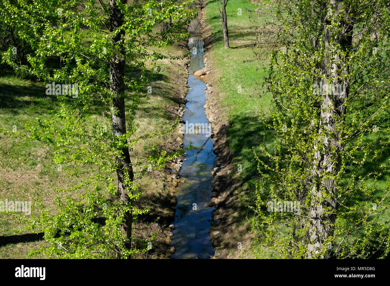 Creek nella primavera park, vista dall'alto. Foto Stock