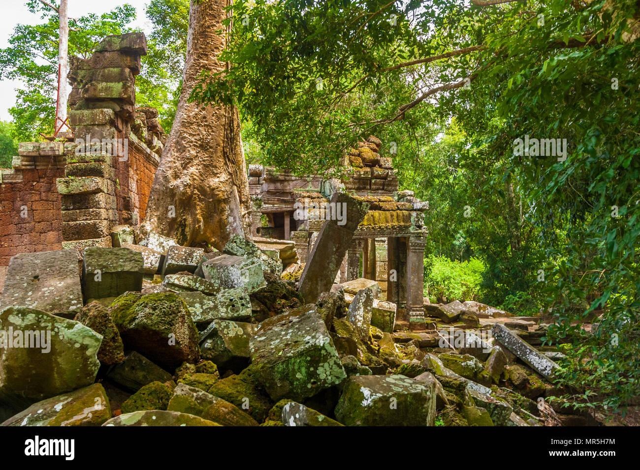 Le rovine di una città perduta nella giungla della Cambogia. Questo è il cancello principale sul lato est di Ta Prohm. Foto Stock