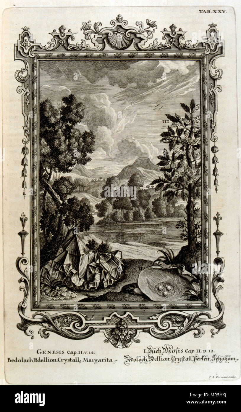 Incisione su rame da 'Physica Sacra' da studioso svizzero Johann Jakob Scheuchzer (1672 - 1733). Scheuchzer creduto il Vecchio Testamento è una rappresentazione fattuale della storia umana e naturale della vita. Physica Sacra è una raccolta di arte, scienza e spiritualità. Scheuchzer utilizza la Bibbia come un riferimento per descrivere il mondo naturale. Physica Sacra è anche noto come Kupfer-Bibel che si traduce in "Bibbia di rame." I bozzetti sono state fatte da Johann Melchior Fussli & un numero di intagliatori lavorato sulla compilazione. Originariamente pubblicato nel 1731, dispone di oltre 700 piastra di rame incisioni Foto Stock