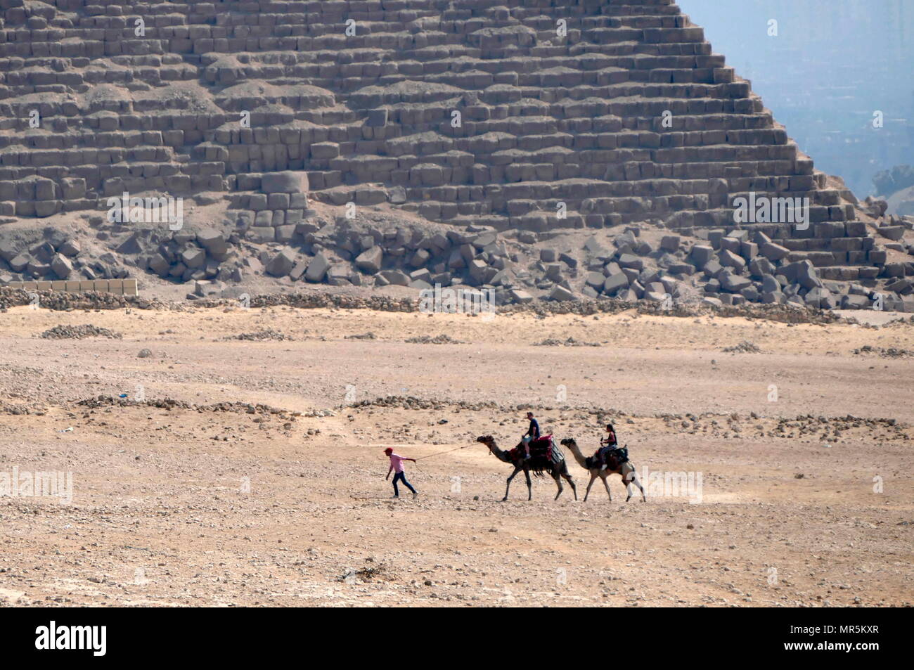 Cammelli a cavallo nei pressi della Grande Piramide di Giza (piramide di Khufu o piramide di Cheope); più antica e più grande delle tre piramidi di Giza piramide complesso in Egitto. Essa è la più antica delle sette meraviglie del mondo antico e il solo a rimanere in gran parte intatto. Completata intorno al 2560 A.C. Foto Stock