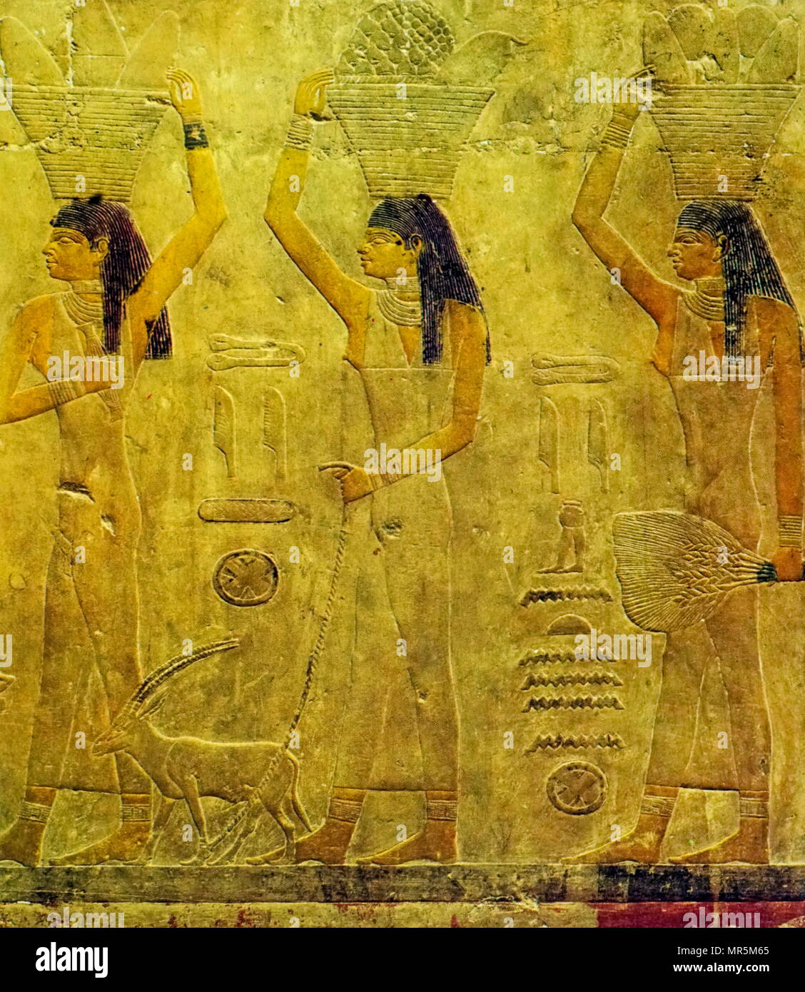 Sollievo dalla cappella di Mastaba di Ty (Ti) presso Saqqara, Egitto. Le donne che rappresentano le regioni sotto il Ty di controllo, effettuare offerte. La Mastaba è stata completata circa 2.400 a.c. durante la quinta dinastia dell'antico regno, come la tomba del funzionario egiziano Ty Foto Stock