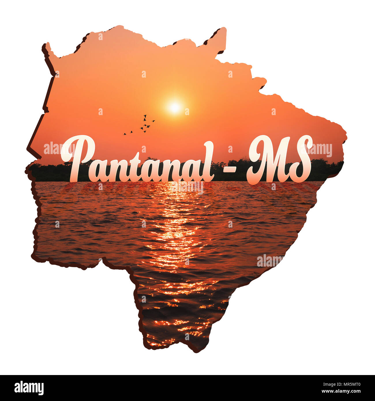 Mappa di Mato Grosso do Sul, illustrazione concetto del Pantanal MS. I contorni della MS membro con la bellissima natura del Pantanal Sul-Mato- Foto Stock