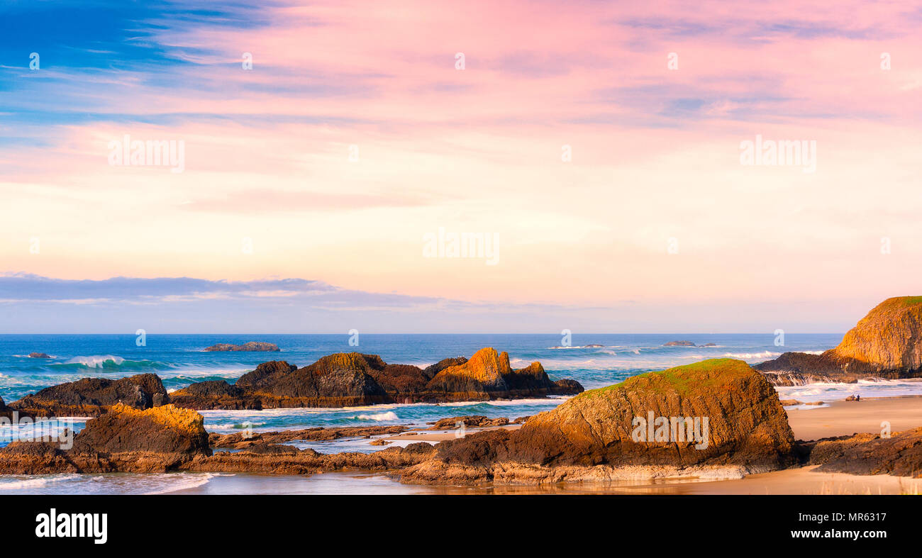 Paesaggio panoramico della guarnizione di tenuta la spiaggia di roccia in roccia di tenuta, Oregon sul Oregon Coast Foto Stock