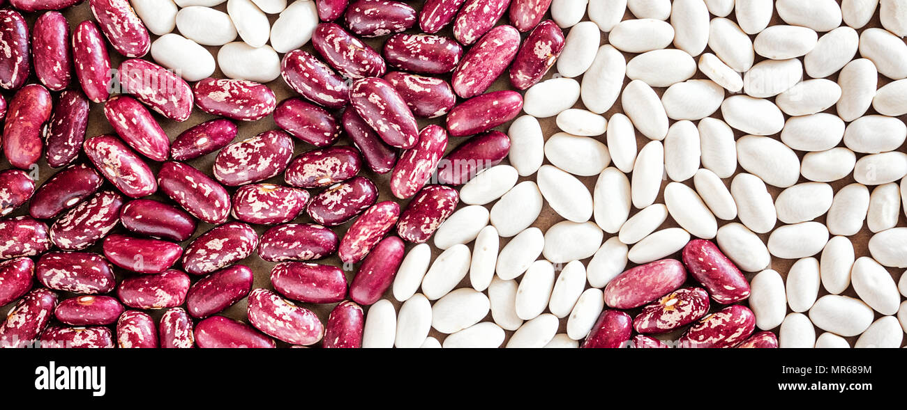 Yin Yan simbolo della granella fagioli fagioli bianchi rosso bianco su carta vegan concetto macro sfondo closeup Foto Stock