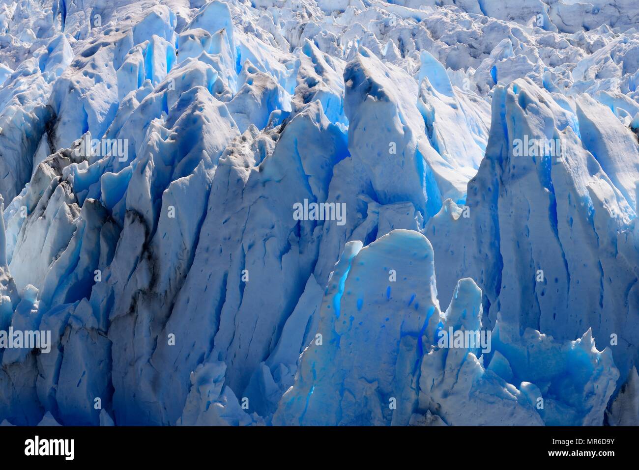Il ghiaccio del ghiacciaio, dettaglio del campo di ghiaccio, Ghiacciaio Perito Moreno, Parque National Los Glaciares, El Calafate, Santa Cruz Provincia Foto Stock