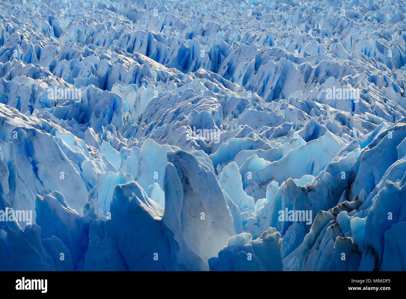 Il ghiaccio del ghiacciaio, dettaglio del campo di ghiaccio, Ghiacciaio Perito Moreno, Parque National Los Glaciares, El Calafate, Santa Cruz Provincia Foto Stock