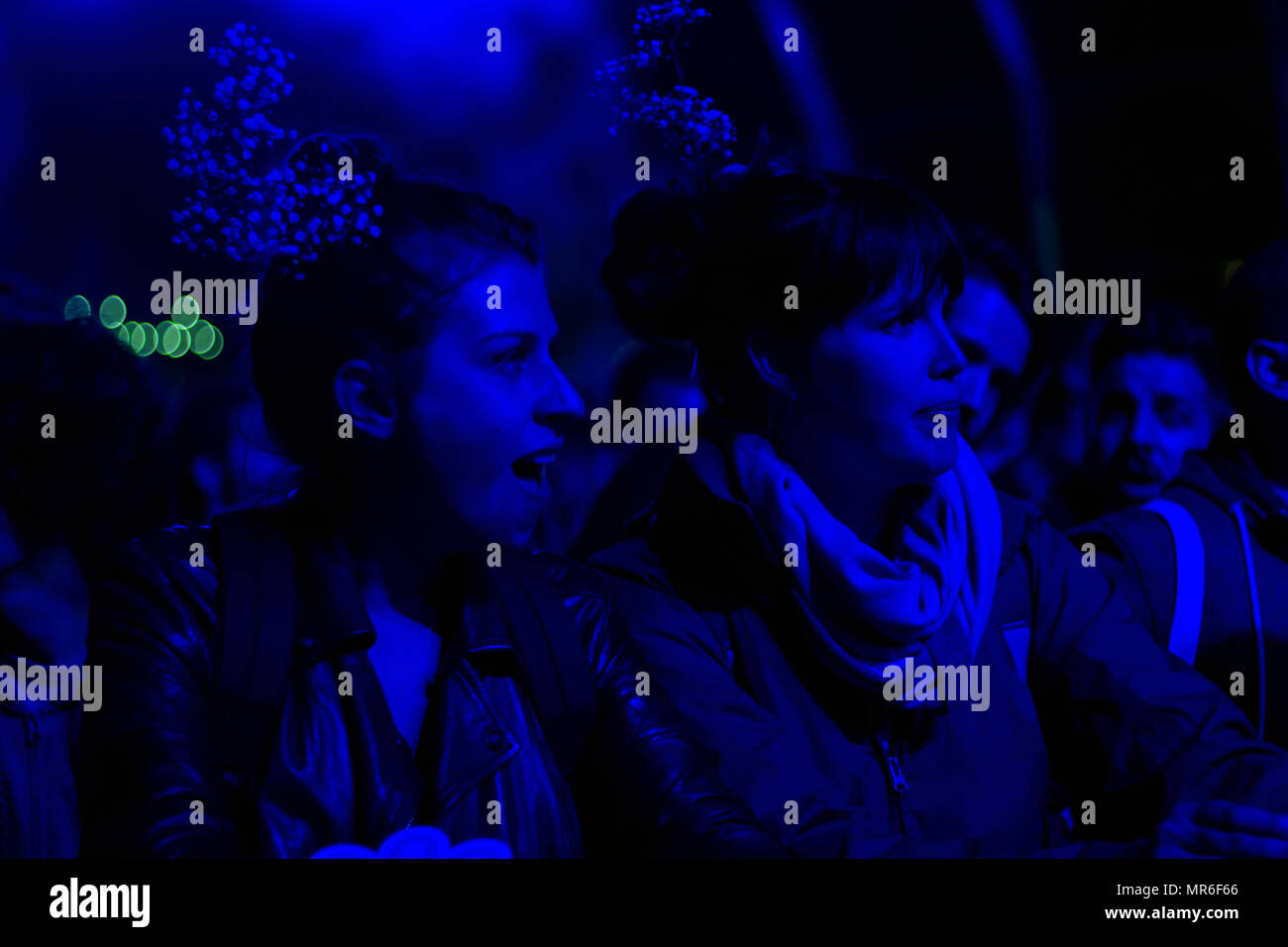 Folla guardando un concerto presso il festival di musica Foto Stock