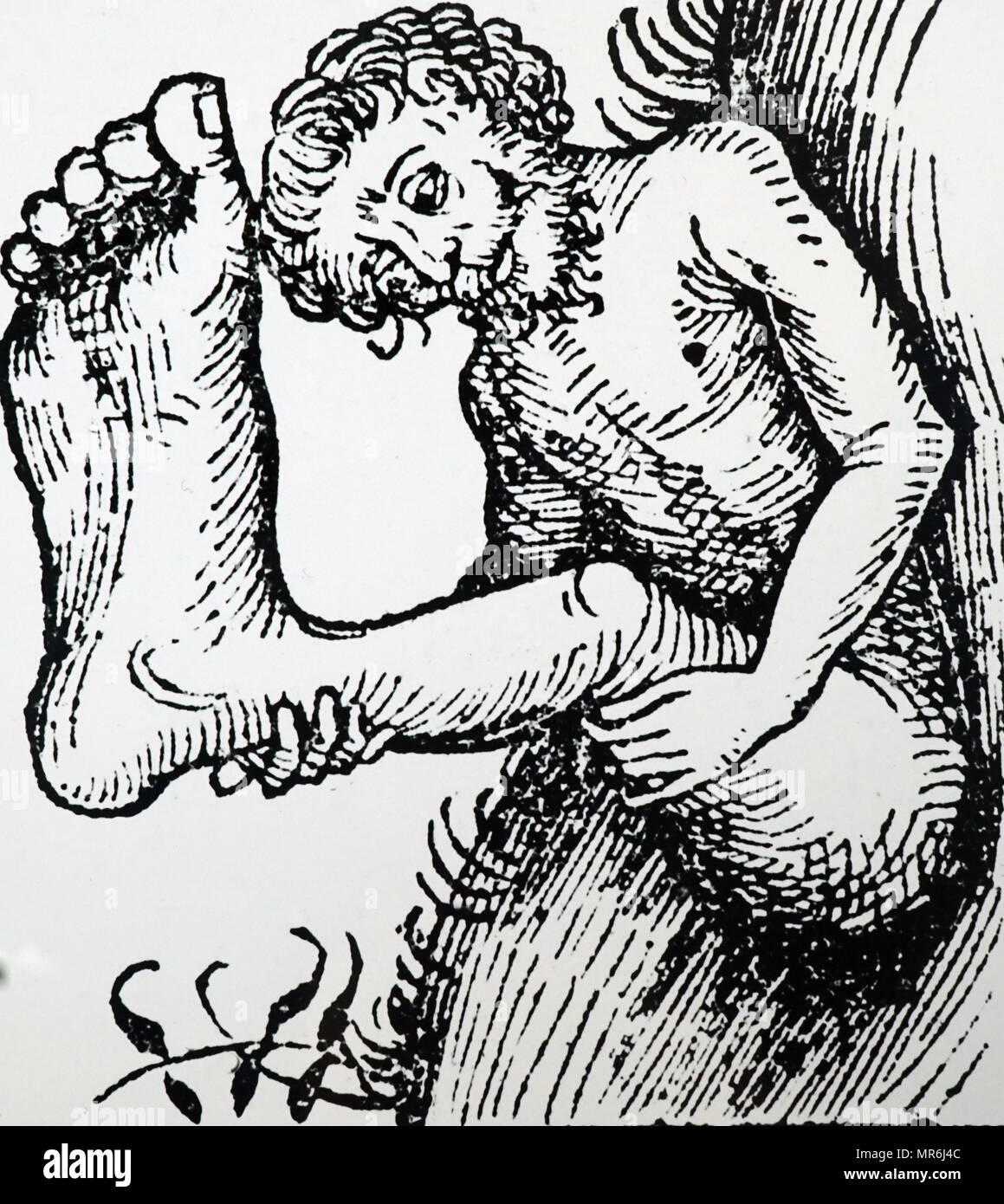 Uno dei Sciapodes, che erano credo di usare la loro unica enorme piede come un ombrello. Dalla cronaca di Norimberga. Datato 1493. Foto Stock