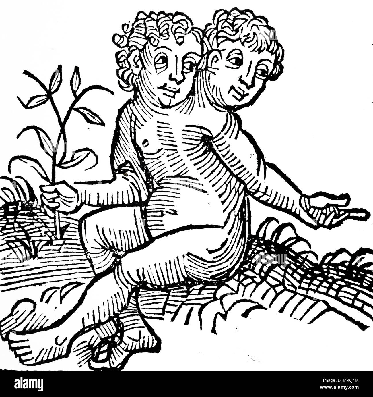 Xilografia incisione raffigurante un bambino nato con due teste. Datata xv secolo Foto Stock