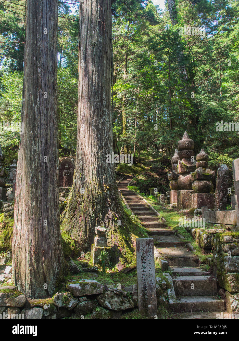 Gradini in pietra e gorinto cinque-tiered stupa, memorial lapidi, e giganteschi alberi di sugi, Okunoin, Koya-san, prefettura di Wakayama, Giappone Foto Stock