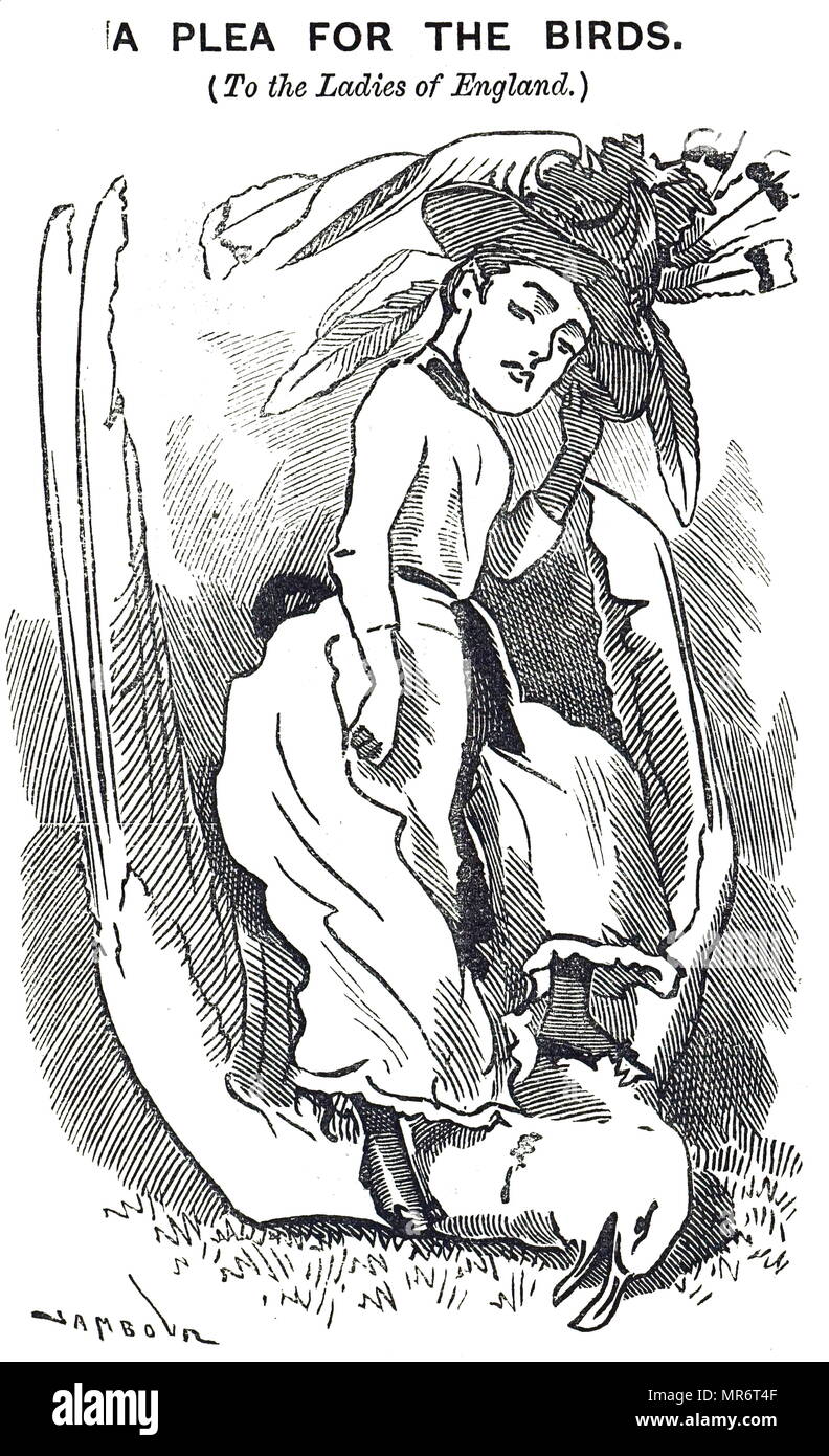 Cartoon supplica per le donne a non indossare le piume nei loro cappelli. Il piumaggio League è stata fondata da Lady Mount-Temple ed il Rev. F. O. Morris nel dicembre 1885 per verificare la distruzione degli uccelli selvatici i cui piume erano utilizzate per ornamento alla moda. Illustrato da Edward Linley Sambourne (1844-1910) un inglese un fumettista e illustratore. Datata del XIX secolo Foto Stock