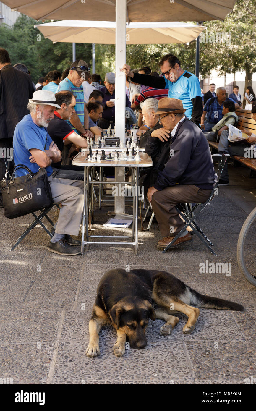 Santiago del Cile: Gli scacchi sono un passatempo popolare con gli uomini e cani a Plaza de Armas. Foto Stock