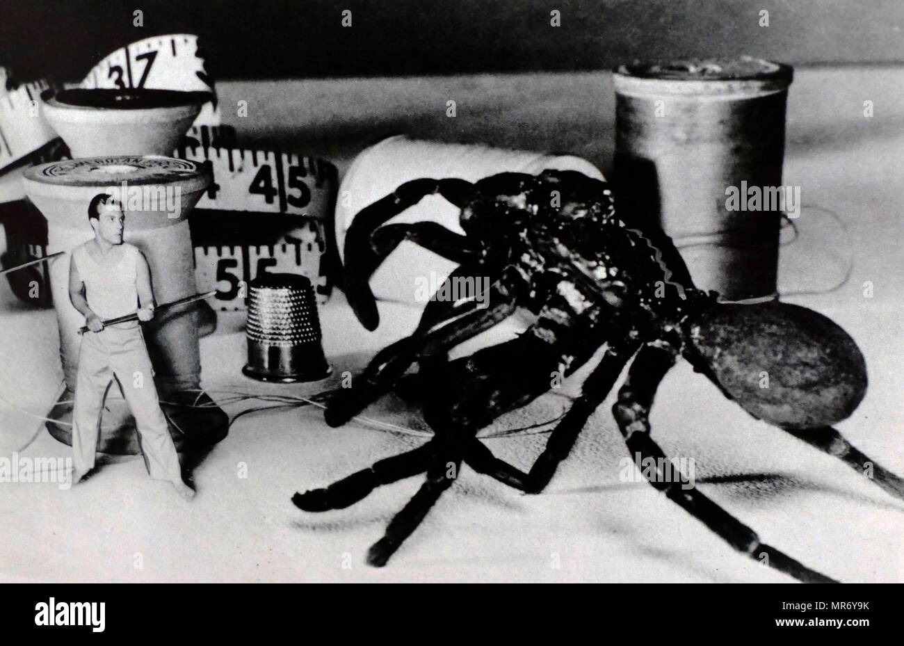 La Incredible Shrinking Man è un 1957 American in bianco e nero film di fantascienza Universal-International, prodotta da Albert Zugsmith, diretto da Jack Arnold, che stelle Grant Williams e Randy Stuart. Foto Stock La Incredible Shrinking Man è un 1957 American in bianco e nero film di fantascienza Universal-International, prodotta da Albert Zugsmith, diretto da Jack Arnold, che stelle Grant Williams e Randy Stuart. Foto Stock