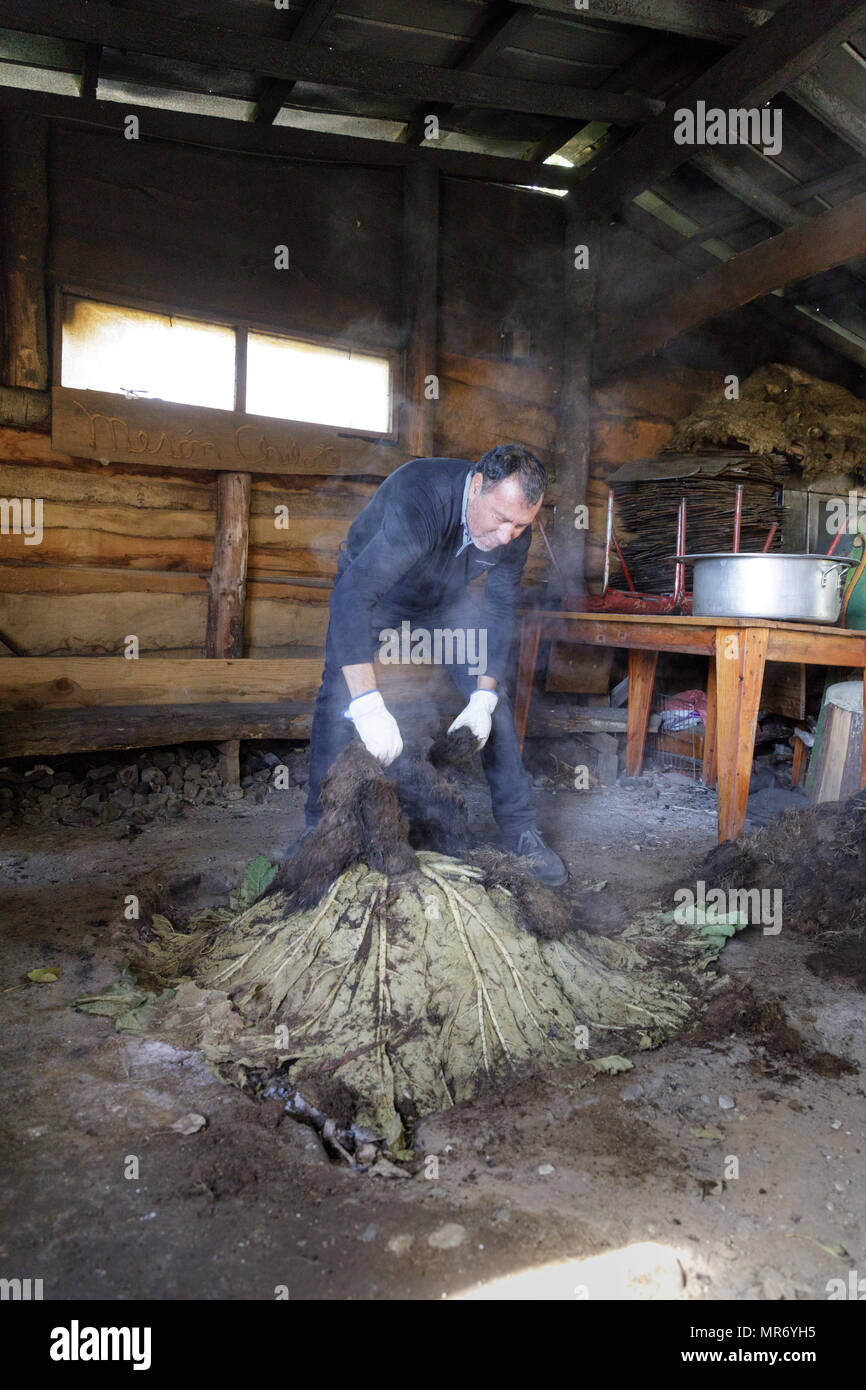 Ancud, Chiloé, Cile: Preparazione di un tradizionale Chiloé il curanto, in cui carni, patate e crostacei sono cucinati in terreno su hot rocks, coperto Foto Stock