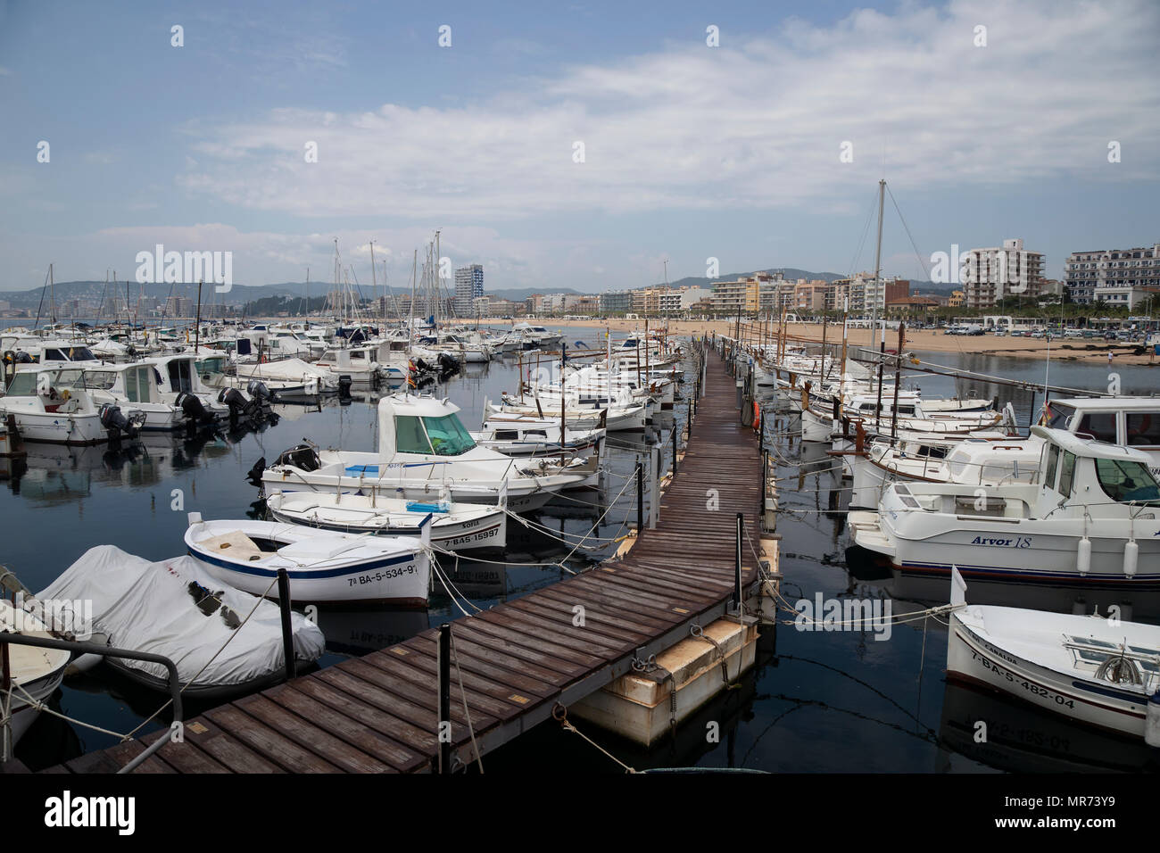 Numerose barche da pesca e imbarcazioni da diporto nel Porto di Palamos sulla Costa Brava in Spagna Foto Stock