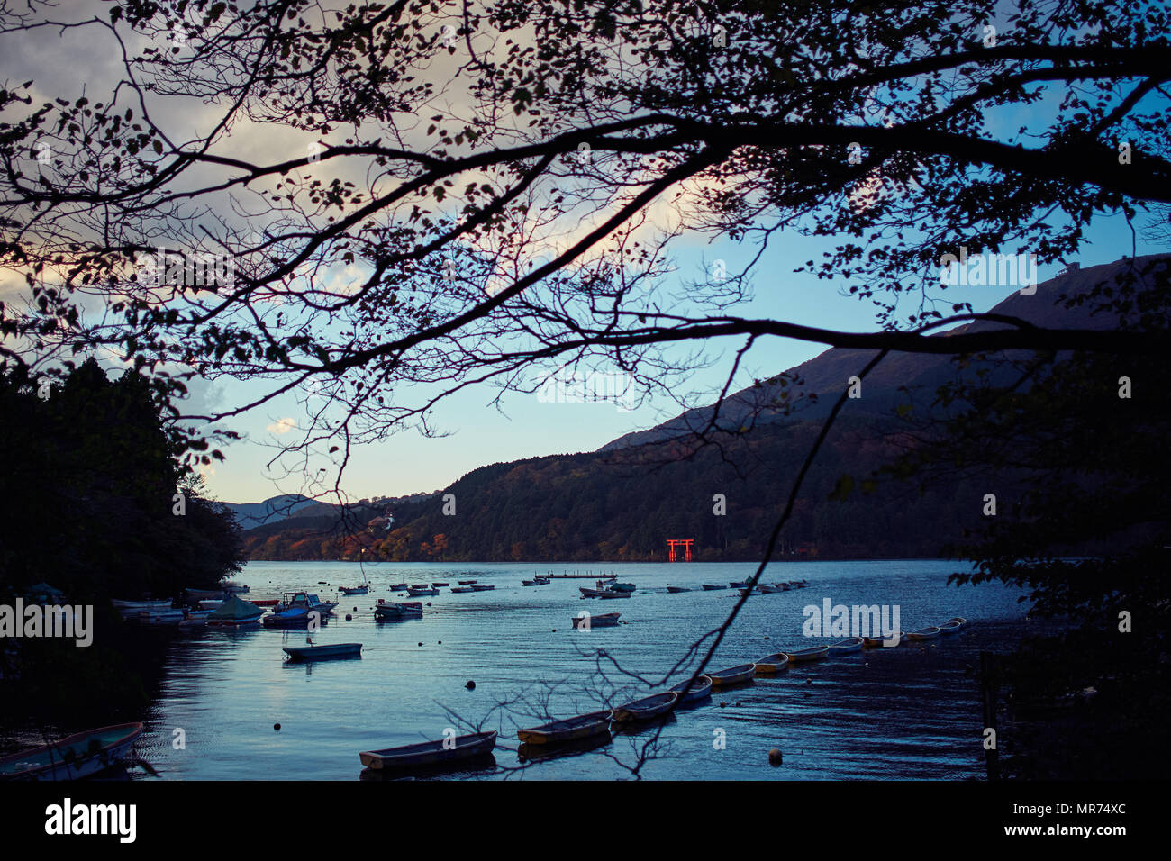 Santuario di Hakone Torii cancello sul Lago Ashi Foto Stock