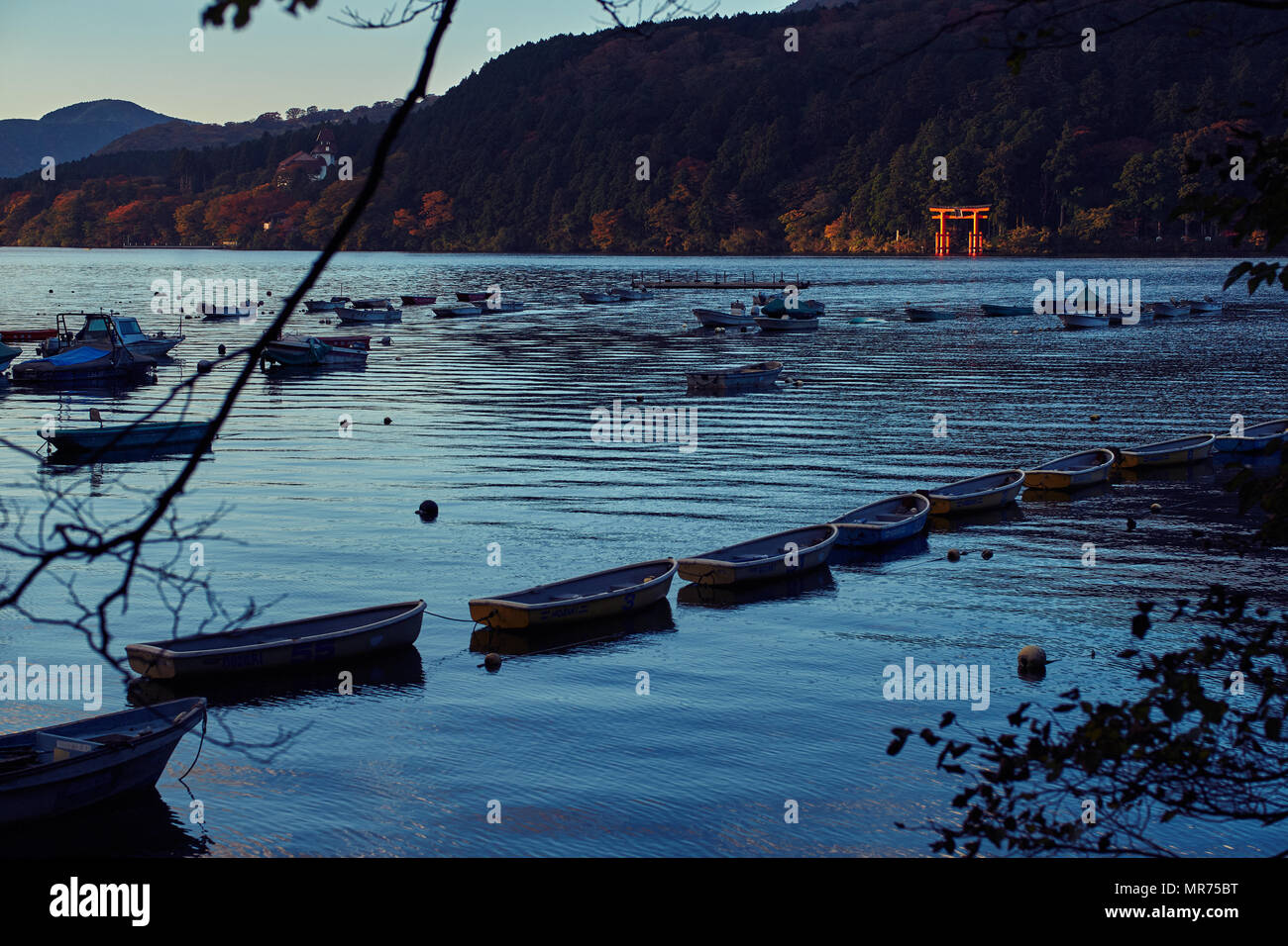 Santuario di Hakone Torii cancello sul Lago Ashi Foto Stock