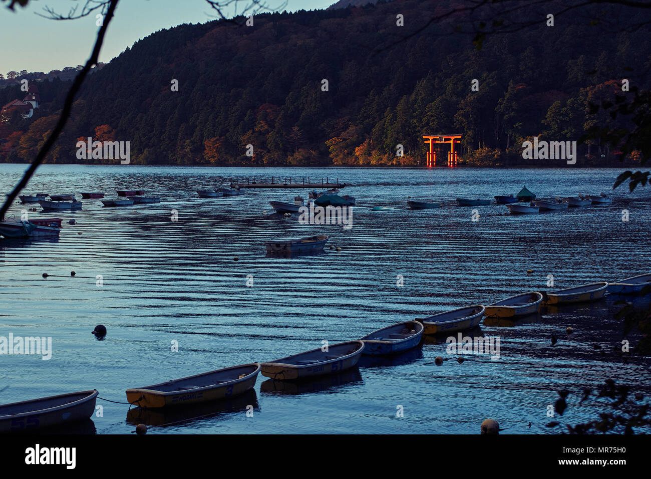 Santuario di Hakone Torii cancello sul Lago Ashi Foto Stock