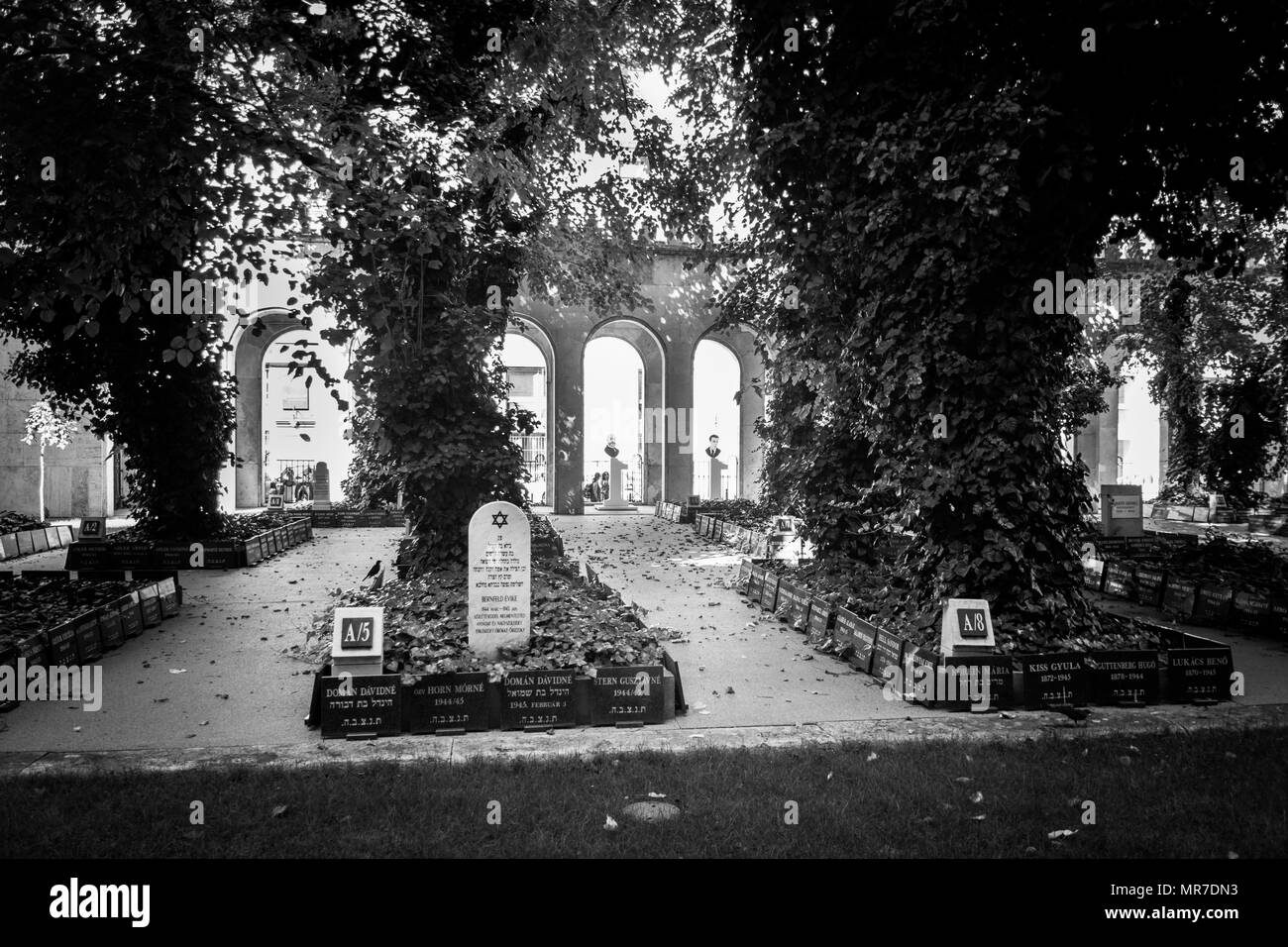 Cippi cimitero ebraico che si trova vicino alla Sinagoga Dohany a Budapest, Ungheria Foto Stock