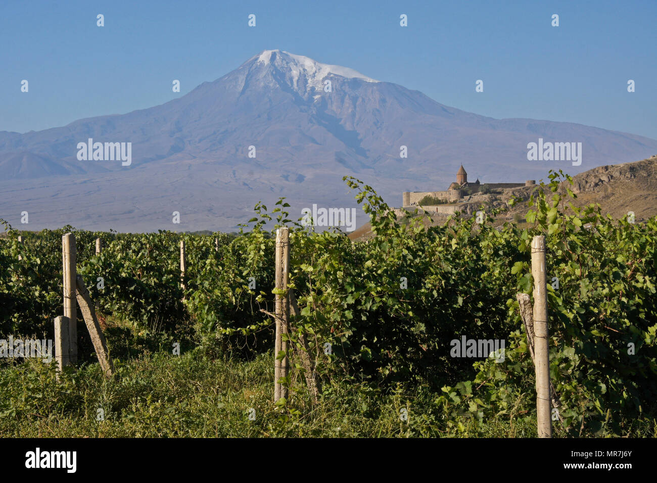 Khor Virap monastero con il monte Ararat e vigneti, Armenia Foto Stock