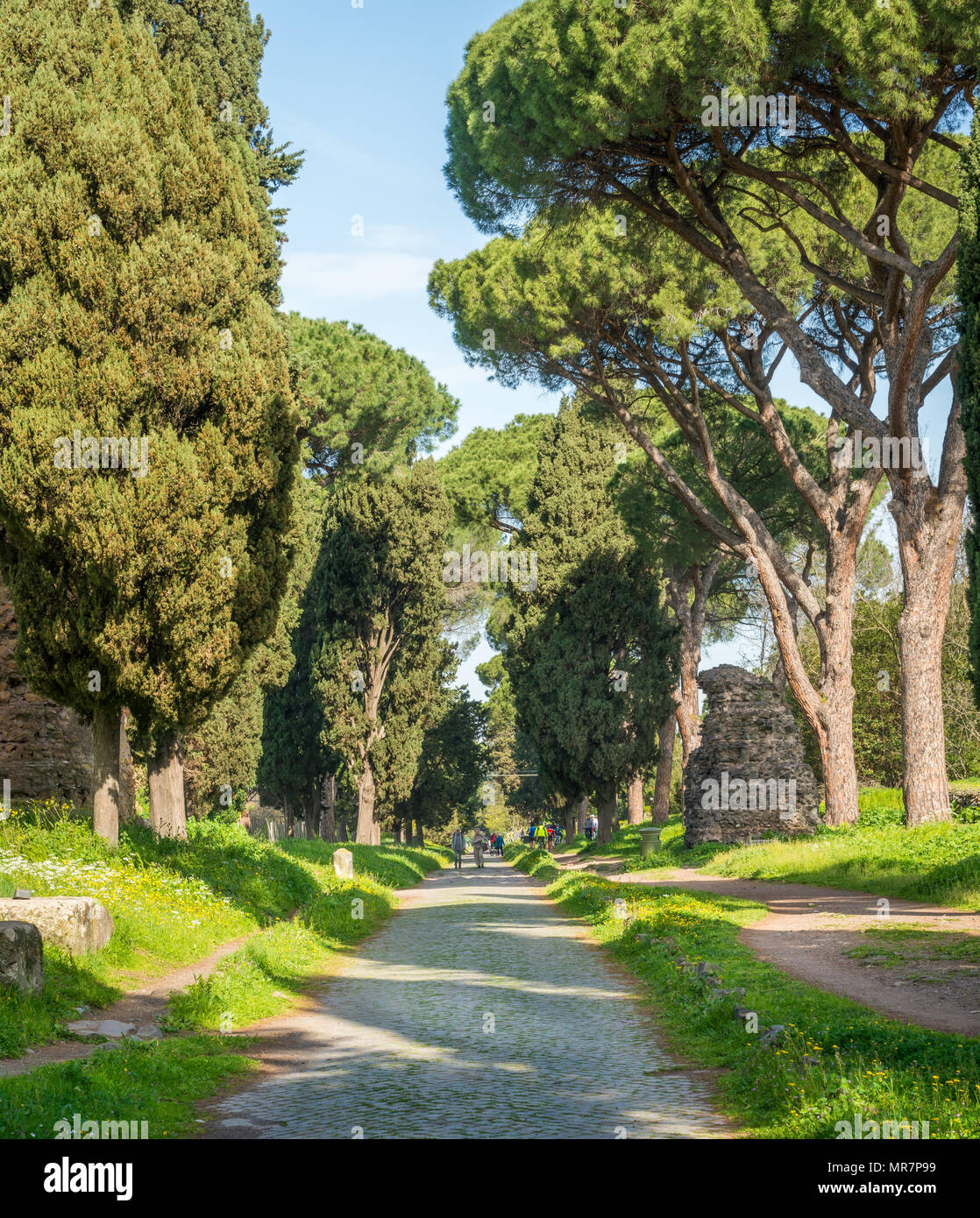 La Via Appia Antica (Appia Antica) su una soleggiata mattina di primavera, in Roma. Foto Stock