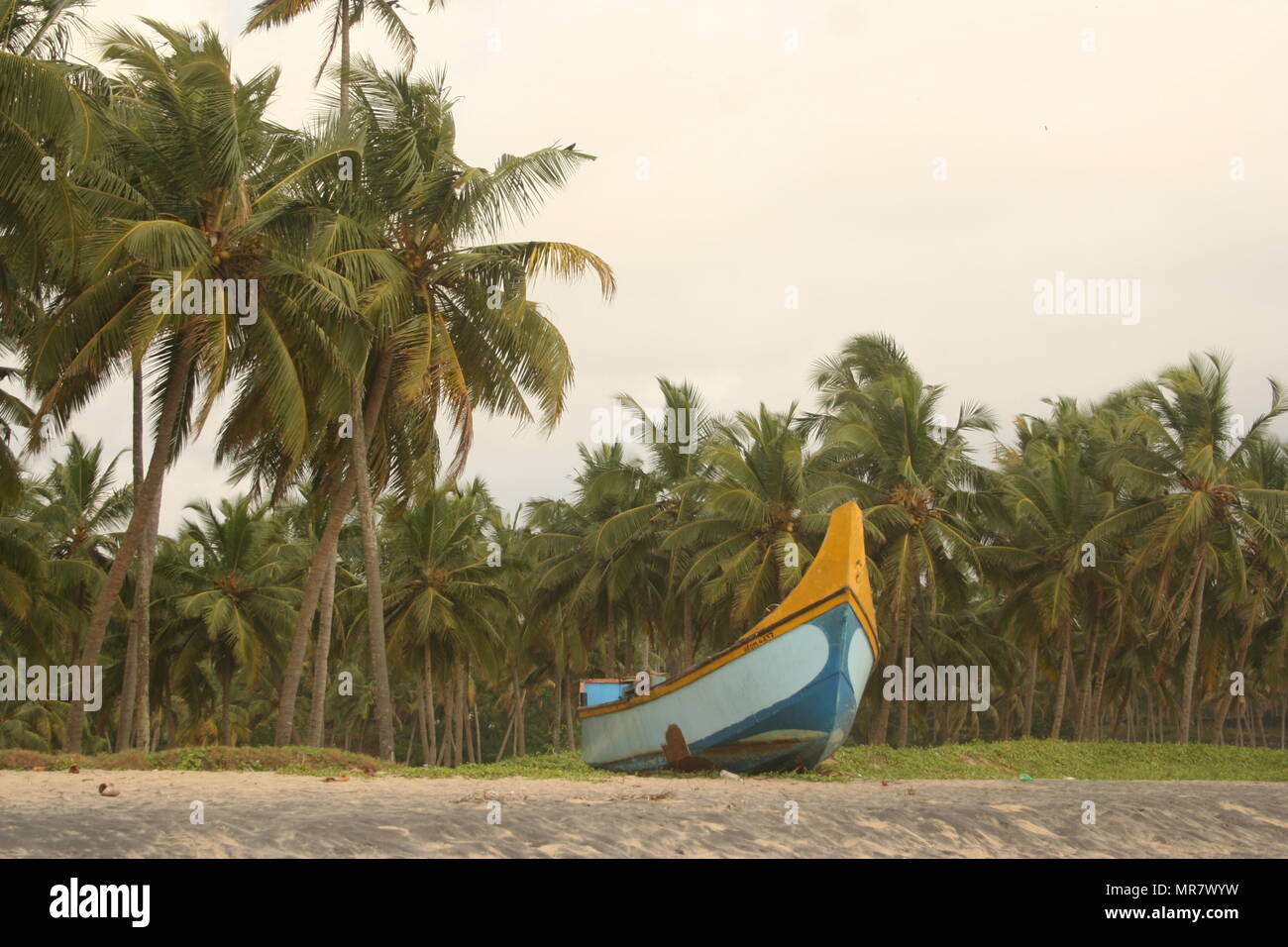 Il blu e il giallo la barca di legno sulla spiaggia con palme in background, Varkala, India Foto Stock