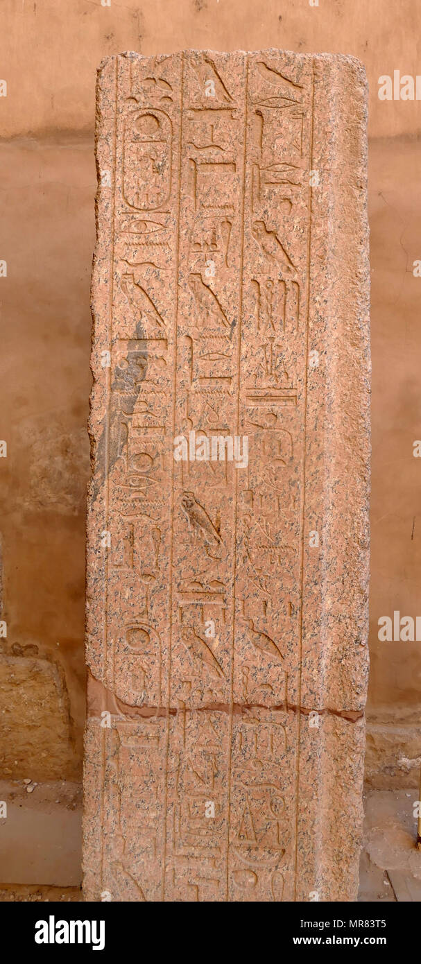 Maximilien de Robespierre (1758 - 1794) avvocato francese e uomo politico, nonché uno dei più noti e più figure influenti associato con la Rivoluzione francese e del regno di terrore. Come membro del Estates-General, l'assemblea costituente e il Club giacobino, Robespierre era un esplicito l'avvocato per i poveri e per le istituzioni democratiche Foto Stock