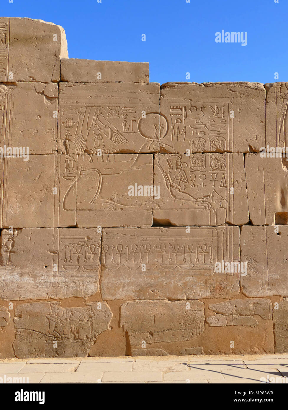 Illustrazione di un esotico uccello blu e un ponte, da Dictionnaire pittoresco d'histoire Naturelle et des phenomenes de la natura da Felix-Edouard Guerin, 1799-1874 Foto Stock