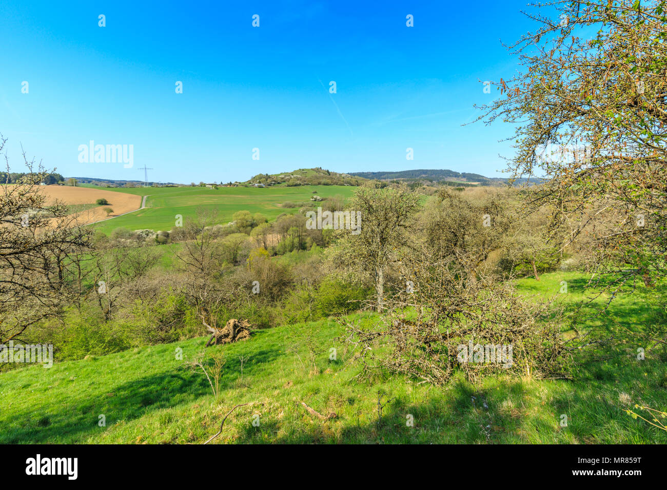 Orchard sui pendii del paesaggio di primavera in tedesco la regione Eifel vicino a Gerolstein con prati verdi contro un cielo blu con nuvole velo Foto Stock