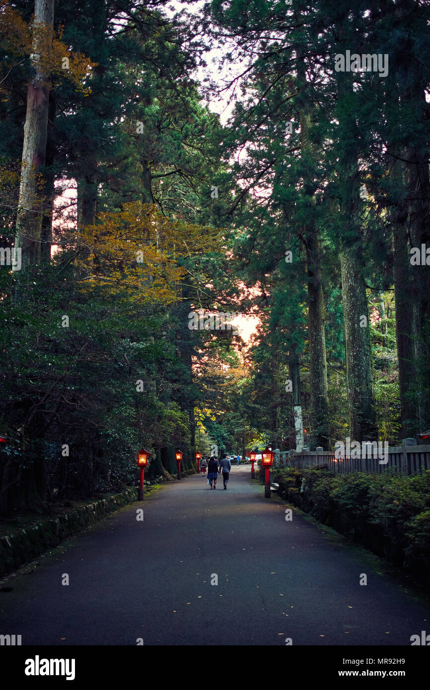 Santuario di Hakone Foto Stock