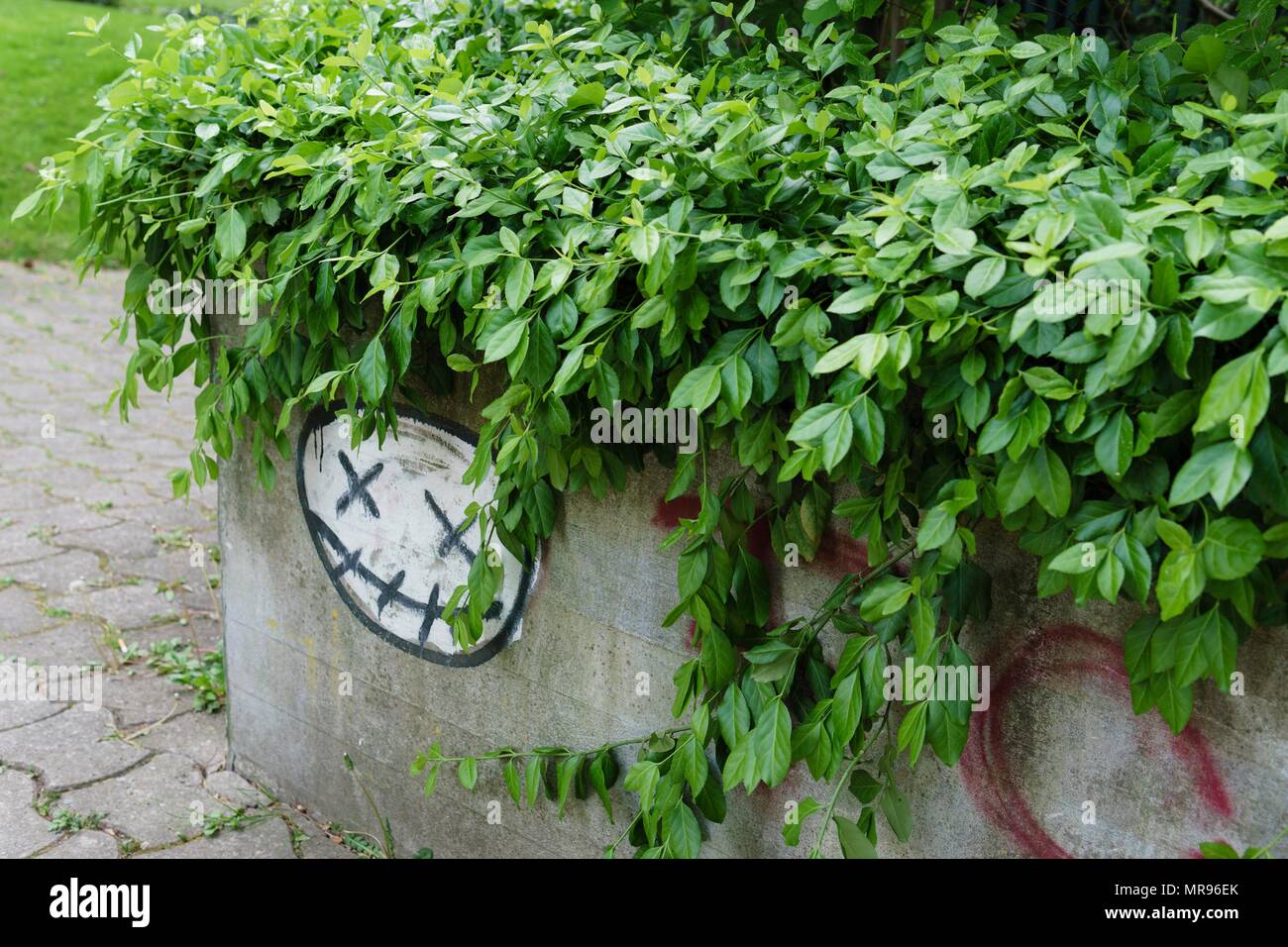 Graffiti di un viso Smiley con X occhi e bocca cucita. La superficie si trova sul lato di una piantatrice di calcestruzzo con foglie che fuoriescono sul bordo. Foto Stock