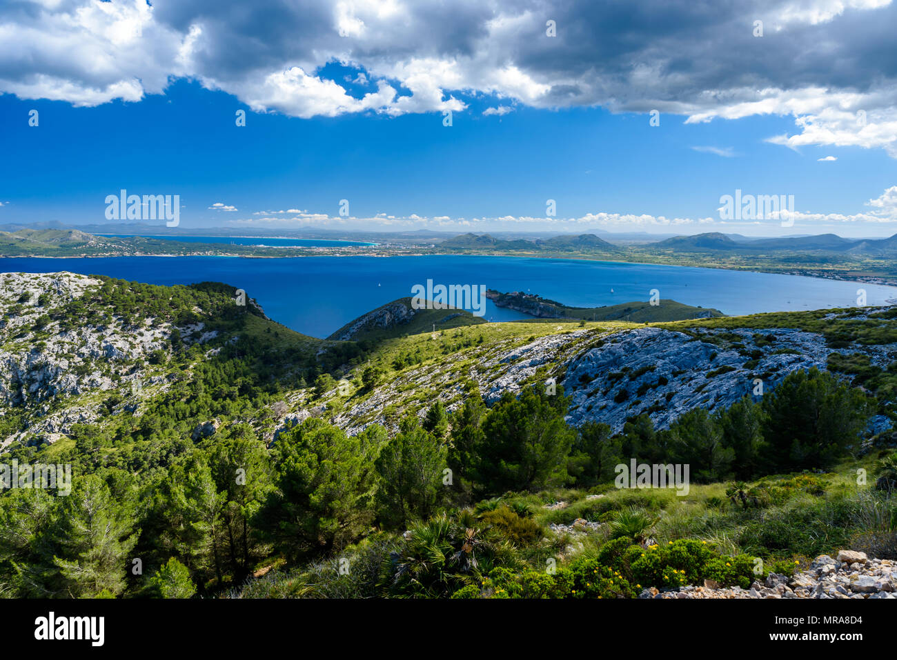Bellissima Costa di Pollenca e Alcudia, Mallorca - Spagna Foto Stock