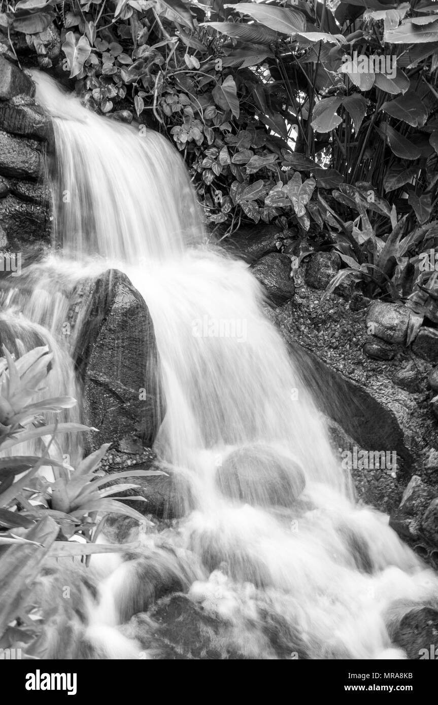 Botanical Garden City Curitiba cascata moto pietre bianco nero Foto Stock