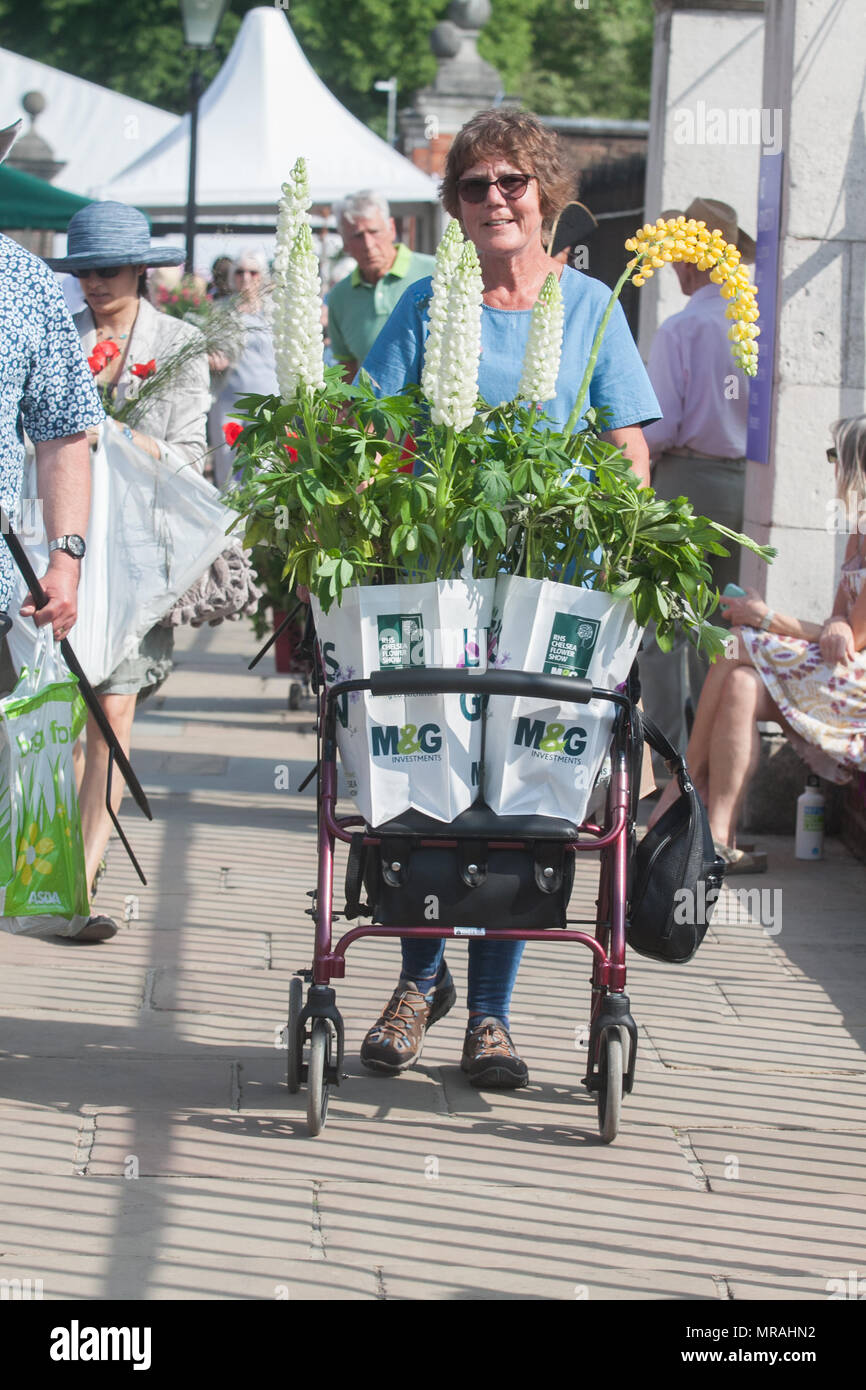 Londra REGNO UNITO. 26 maggio 2018. I membri del pubblico portano gli espositori di piante su il giorno di chiusura del 2018 Chelsea Flower Show . Una vasta gamma di elementi può essere acquistato sull'ultimo giorno della Royal Horticultural Show di Chelsea che è stato inaugurato nel 1913 Credit: amer ghazzal/Alamy Live News Foto Stock
