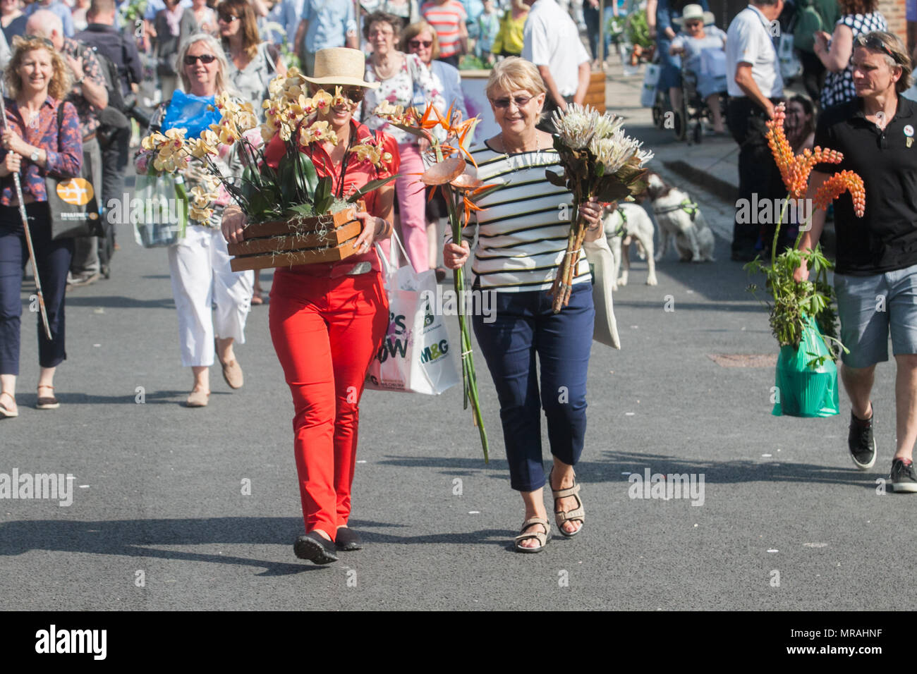 Londra REGNO UNITO. 26 maggio 2018. I membri del pubblico portano gli espositori di piante su il giorno di chiusura del 2018 Chelsea Flower Show . Una vasta gamma di elementi può essere acquistato sull'ultimo giorno della Royal Horticultural Show di Chelsea che è stato inaugurato nel 1913 Credit: amer ghazzal/Alamy Live News Foto Stock