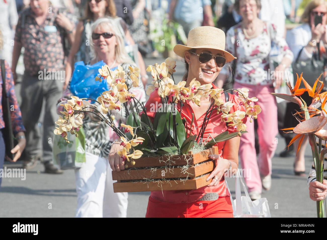 Londra REGNO UNITO. 26 maggio 2018. I membri del pubblico portano gli espositori di piante su il giorno di chiusura del 2018 Chelsea Flower Show . Una vasta gamma di elementi può essere acquistato sull'ultimo giorno della Royal Horticultural Show di Chelsea che è stato inaugurato nel 1913 Credit: amer ghazzal/Alamy Live News Foto Stock