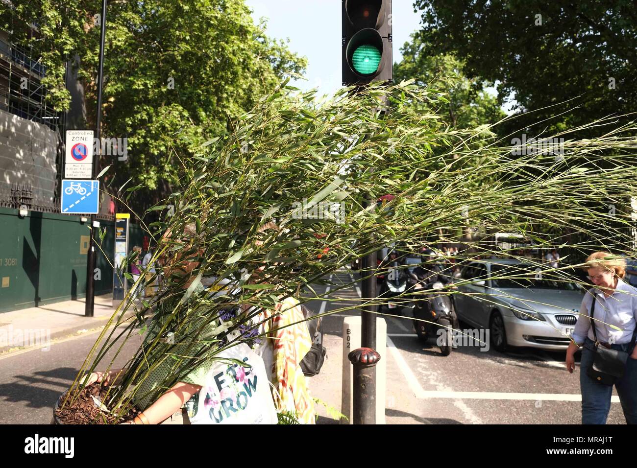 Londra, UK 26 Maggio 2018: i visitatori al Chelsea Flower Show 2018 lasciare il giorno finale con forti sconti fiori e piante.Credit: Claire Doherty/Alamy Live News Foto Stock