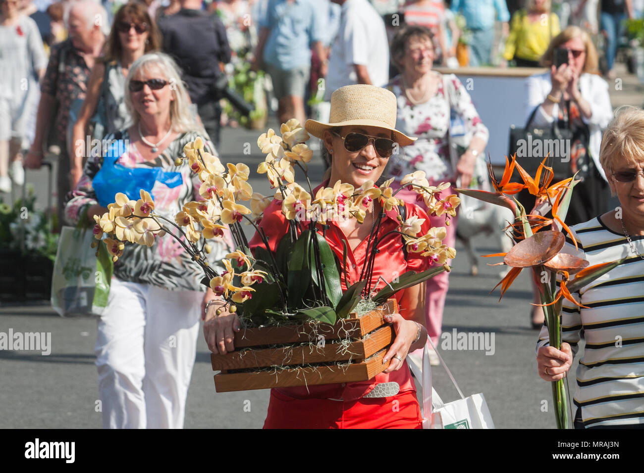 Londra REGNO UNITO. 26 maggio 2018. I membri del pubblico portano gli espositori di piante su il giorno di chiusura del 2018 Chelsea Flower Show . Una vasta gamma di elementi può essere acquistato sull'ultimo giorno della Royal Horticultural Show di Chelsea che è stato inaugurato nel 1913 Credit: amer ghazzal/Alamy Live News Foto Stock