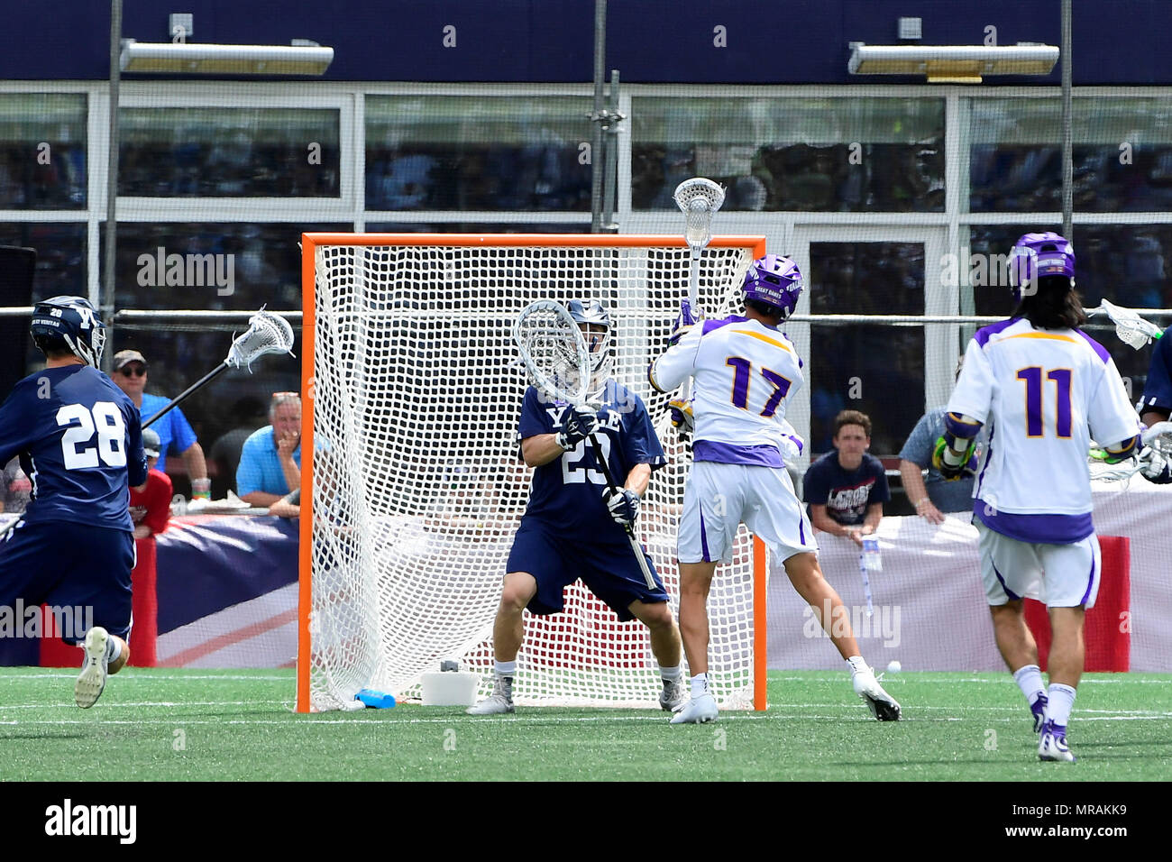 Foxborough, messa. 26 Maggio, 2018. Albany Alani Jakob attackman Patterson (17) germogli su Yale Bulldogs portiere Jack Starr (23) durante il NCAA Division I Lacrosse semi finale tra Yale e Albany, tenutosi a Gillette Stadium, in Foxborough, messa. La Yale sconfigge Albany 20-11. Eric Canha/CSM/Alamy Live News Foto Stock