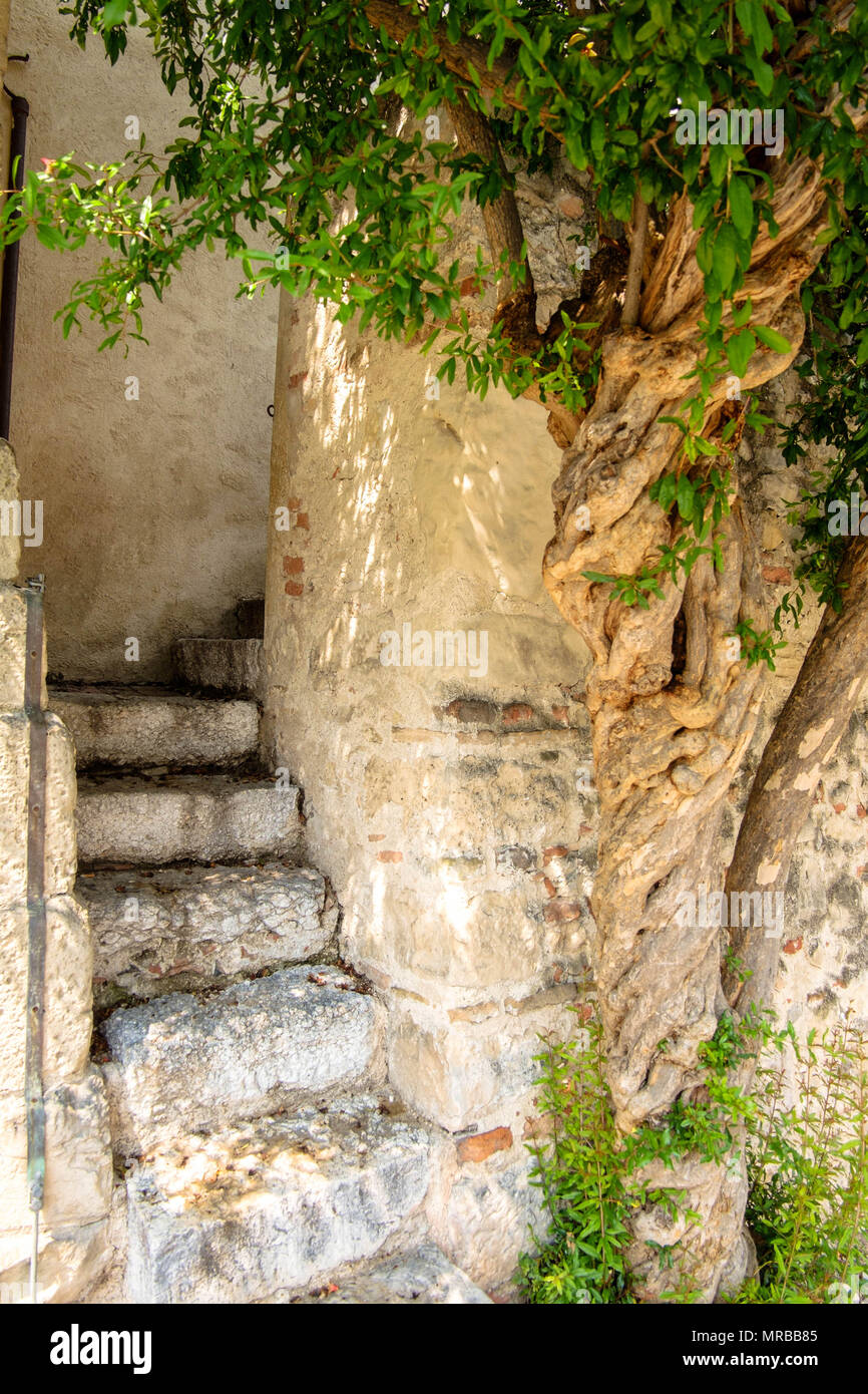 Una caratteristica scalinata al di fuori del Castello di Caterina Cornaro in Asolo. Il castello è attualmente sede del Eleonora Duse teatro. Foto Stock