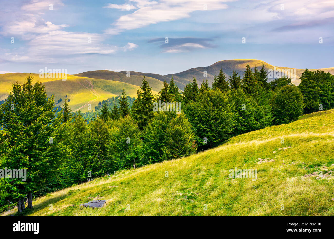 In estate il paesaggio con le colline boscose. bellissimo scenario di montagna Svydovets ridge, Ucraina Foto Stock