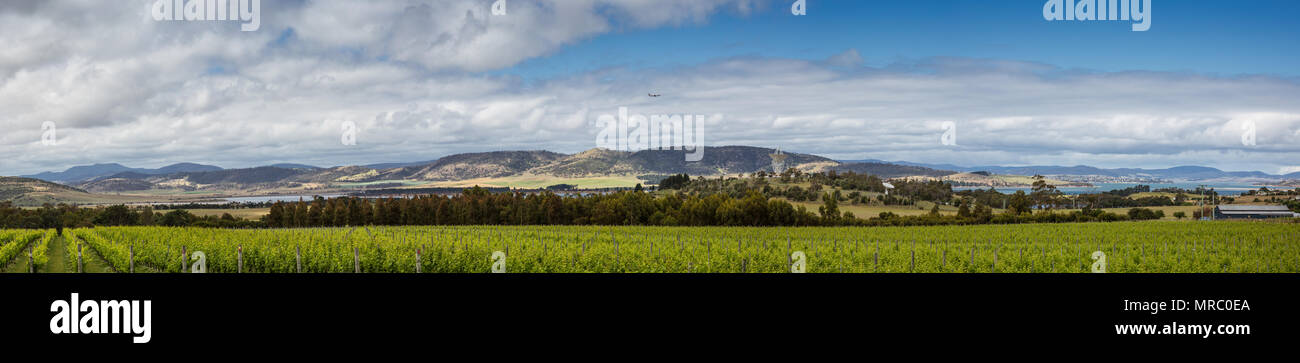 Vista Panoramica dei vigneti affacciato sulla Baia di Barilla in Tasmania, situato tra Hobart, Richmond e Cambridge Foto Stock