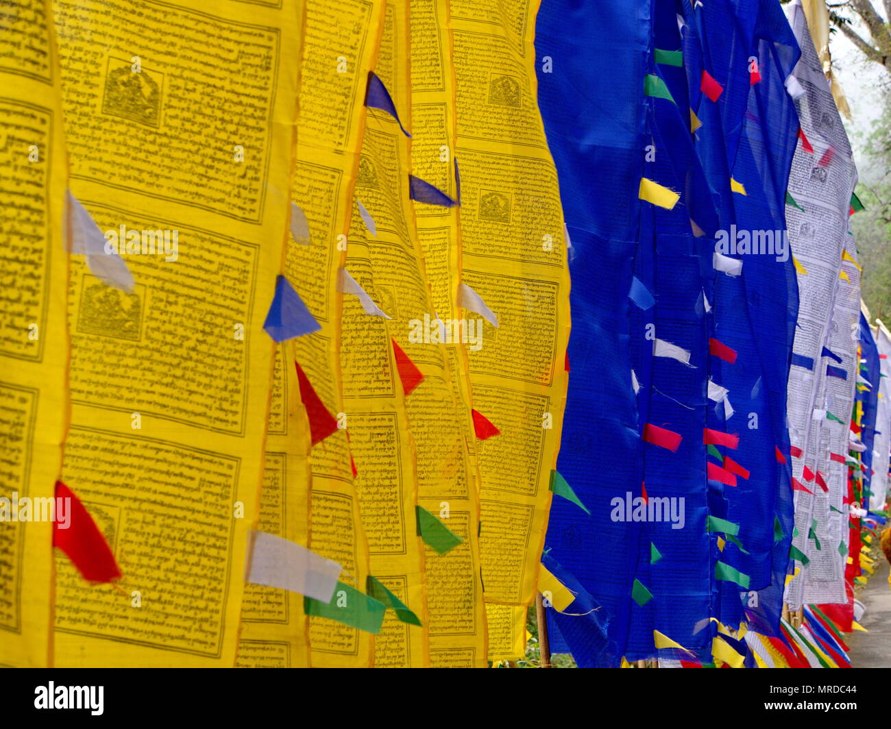 Preghiera tibetano bandiera di fede, la pace, la sapienza, la compassione e la forza, il Sikkim Stato in India, 15 aprile 2013. Foto Stock