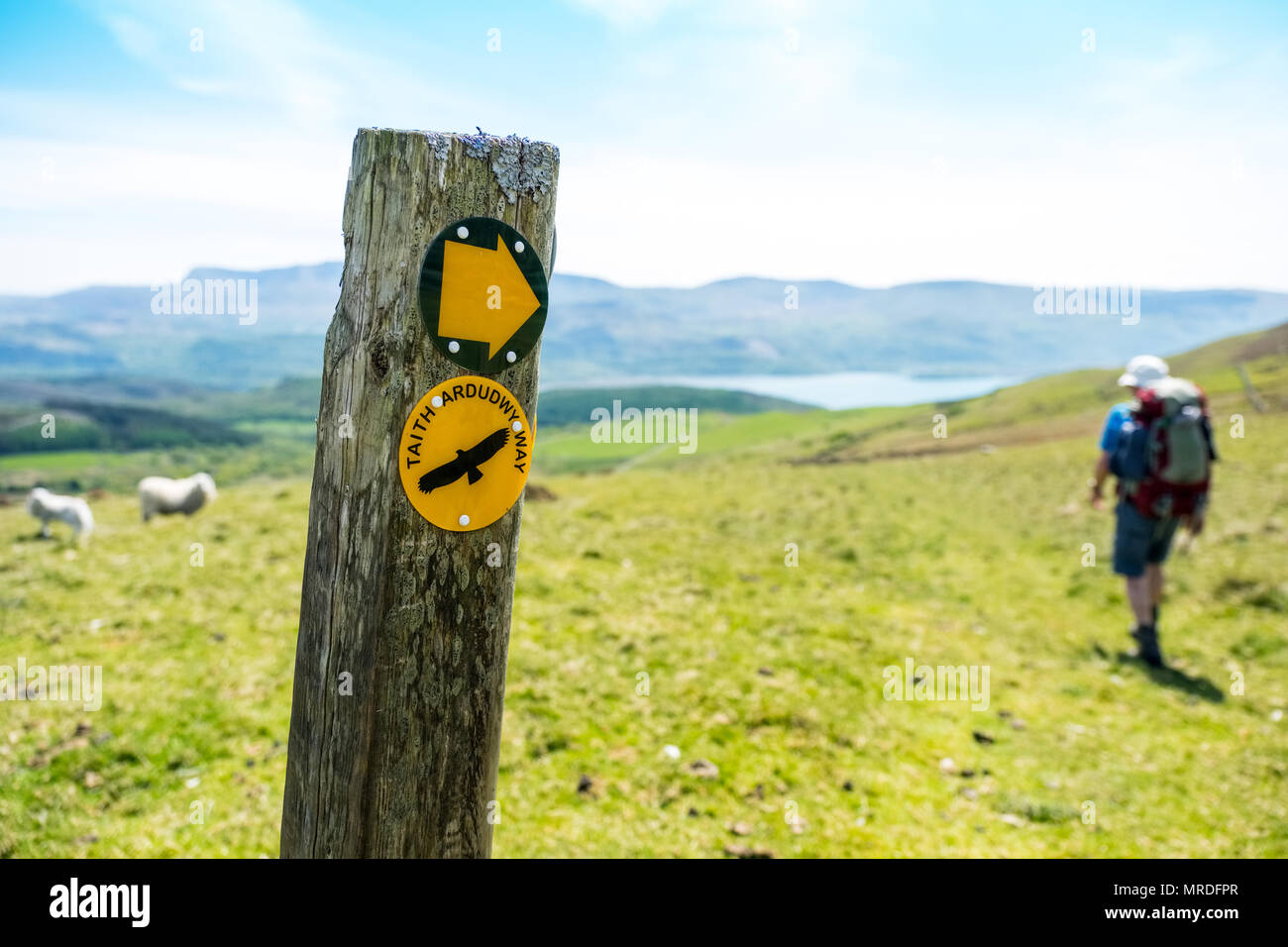 Walker sul modo Ardudwy vicino a Caernarfon in Galles centrale Foto Stock