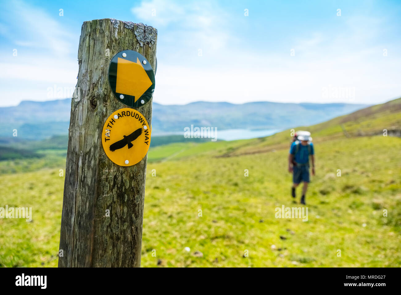Walker sul modo Ardudwy vicino a Caernarfon in Galles centrale Foto Stock