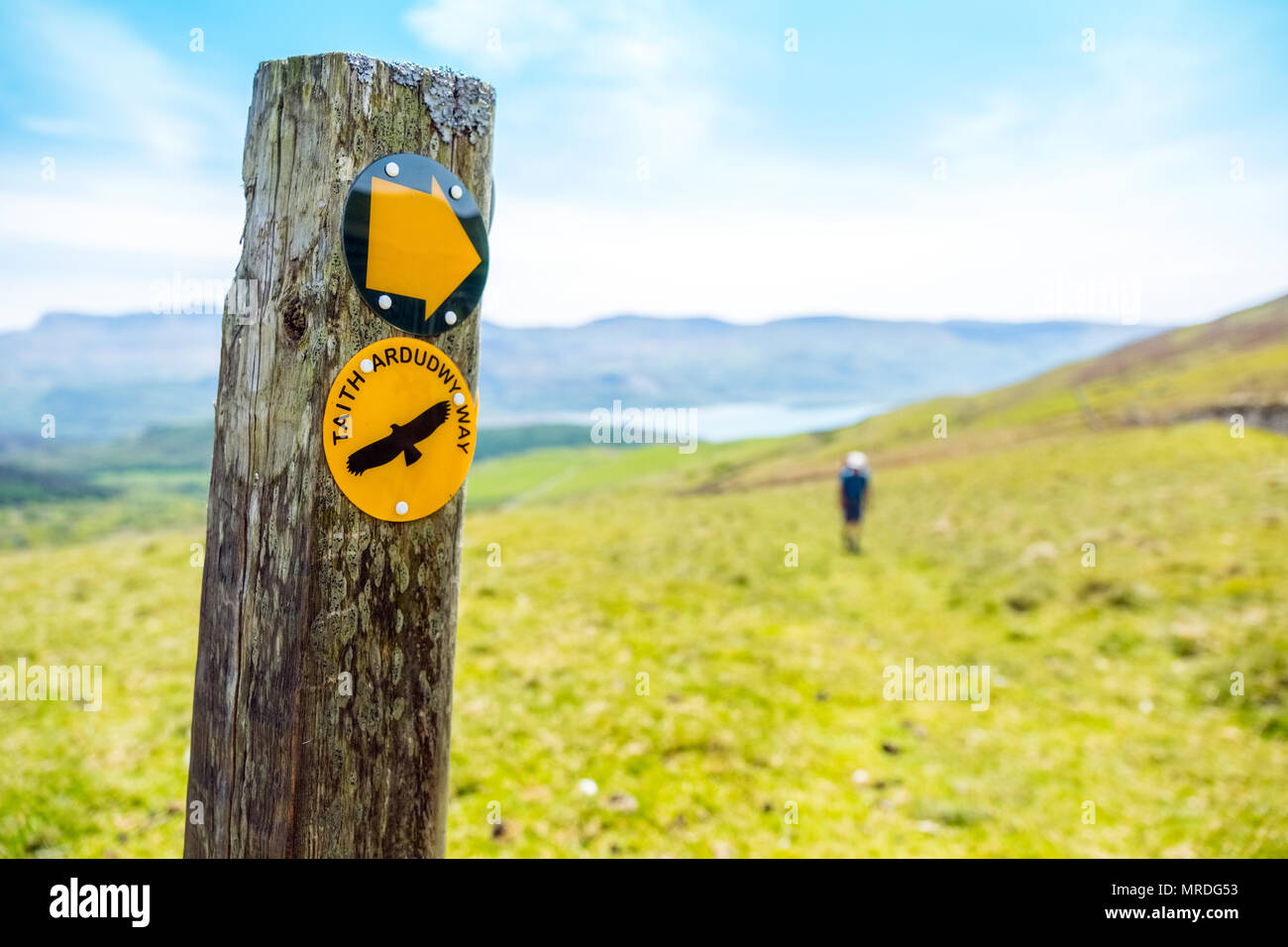 Walker sul modo Ardudwy vicino a Caernarfon in Galles centrale Foto Stock