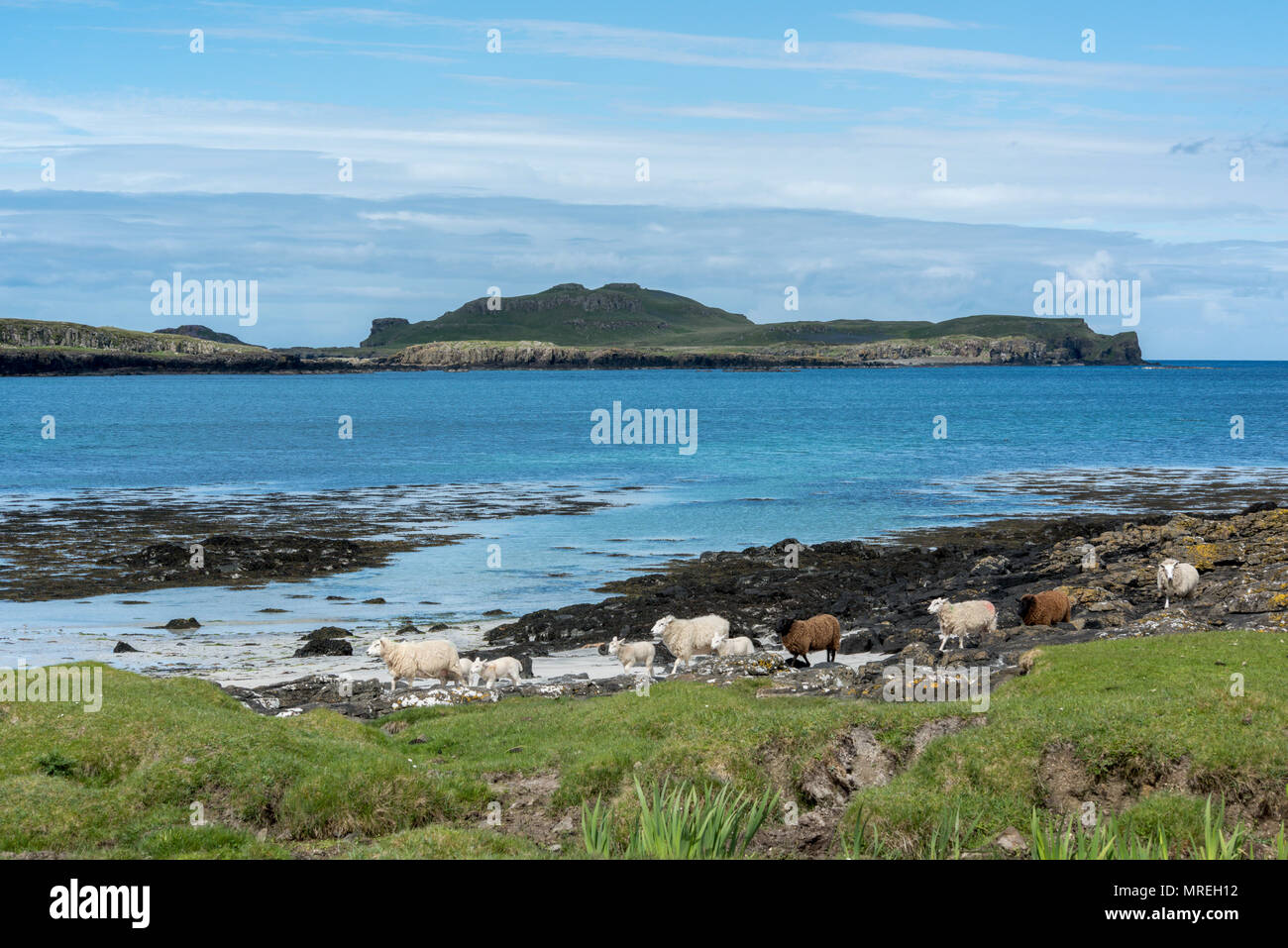 Gallanach Beach, Isola di Muck, le piccole isole Ebridi Interne, Scozia Foto Stock